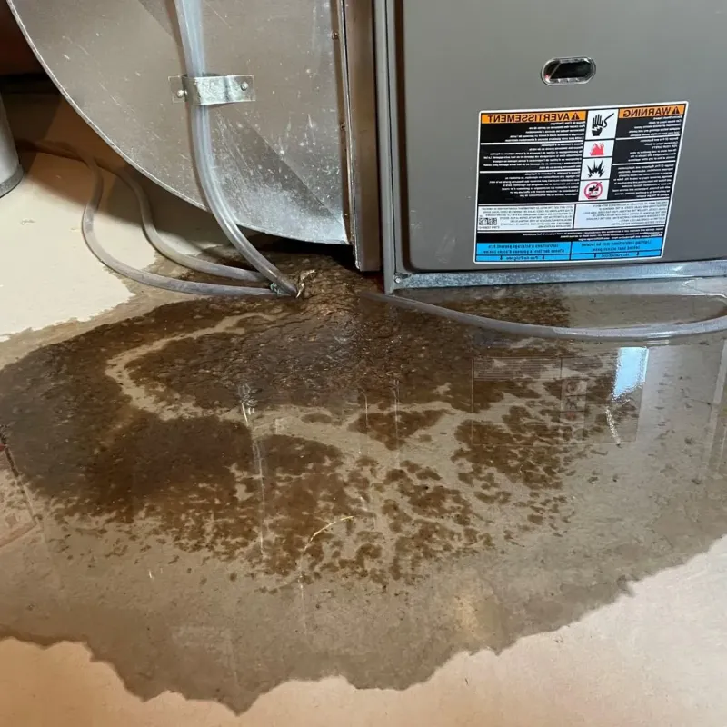 Pipe Burst and Leak Restoration in Gap, PA