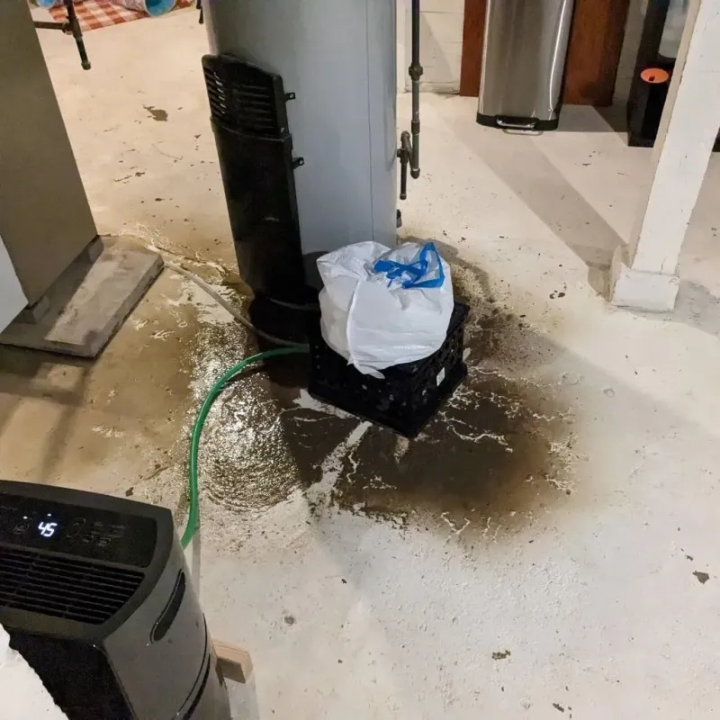 Sewage Backup Cleanup Service in Gap, PA